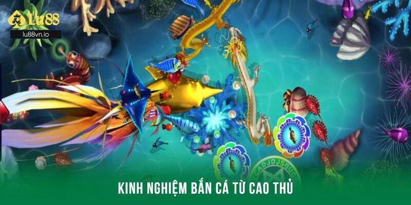 Kinh nghiệm chơi game bắn cá đúc kết từ cao thủ hàng đầu